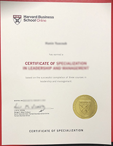 Harvard Business School online certificate sample