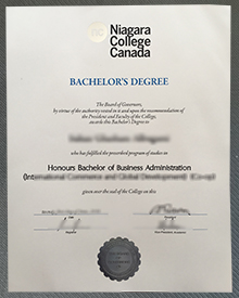 Niagara College diploma