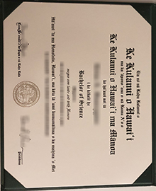 University of Hawaiʻi at Mānoa diploma certificate