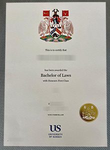 University of Sussex degree, 萨塞克斯大学文凭