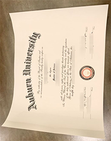 Auburn University diploma certificate