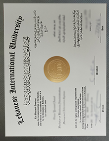 LIU Diploma