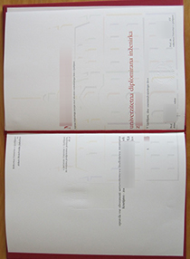 University of Ljubljana diploma, 卢布尔雅那大学文凭