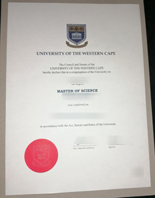 University of the Western Cape diploma certificate