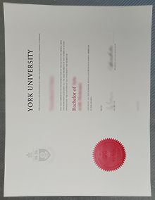 York University degree certificate