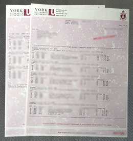 York University transcript sample