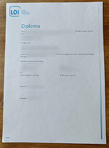 Leidse Onderwijsinstellingen diploma