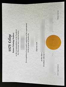 TriOS College diploma