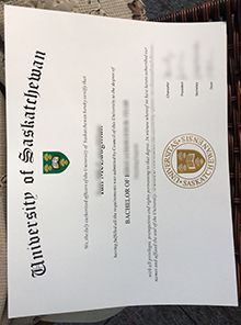 University of Saskatchewan degree