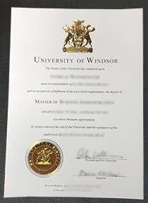 University of Windsor Degree certificate