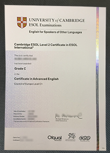 Cambridge ESOL Level 2 certificate