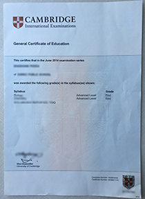 Cambridge GCE A Leve certificate sample