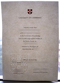 University of Cambridge degree