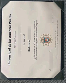 UDLAP diploma certificate