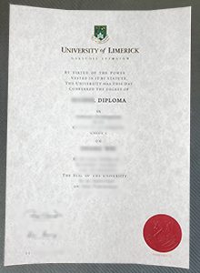 University Of Limerick Degree