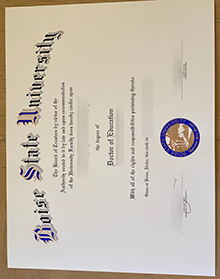 Boise State University degree sample