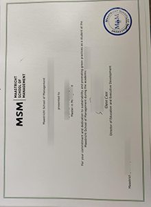 Maastricht School of Management diploma sample