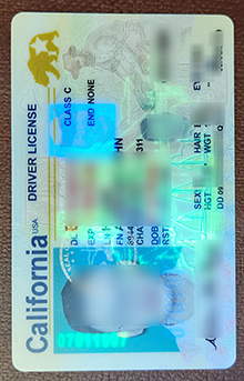 California Id, California Driver License