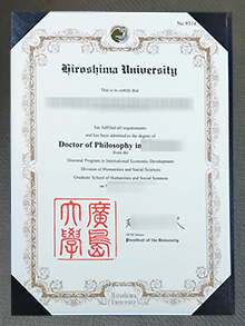 Hiroshima University diploma certificate