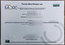 Thomas More Kempen vzw Diploma sample