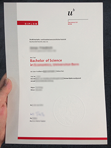 Universität Bern diploma sample