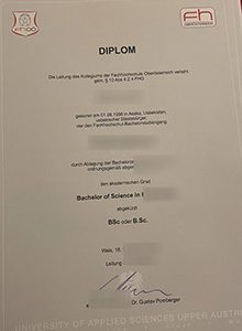 University of Applied Sciences Upper Austria diplom sample