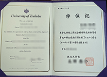 University of Tsukuba diploma sample