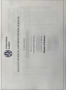 Leiden University diploma sample