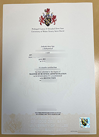 University of Wales Trinity Saint David degree