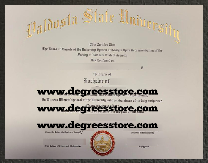 Valdosta State University degree